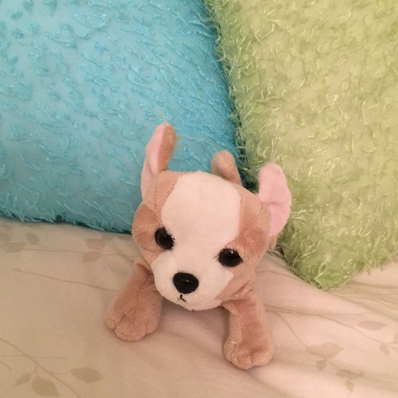 chihuahua webkinz